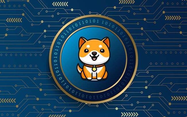 BabyDoge Coin